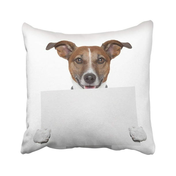 16x16 Multicolor World's Most Wonderful Zoologist Funny Throw Pillow 16x16 Multicolor World's Most Wonderful Zoologist Funny Throw Pillow